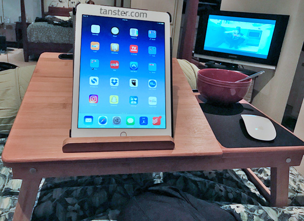 sofia-sam-multi-tasking-laptop-bed-tray